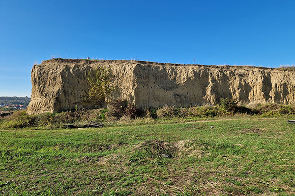 Les Glinare